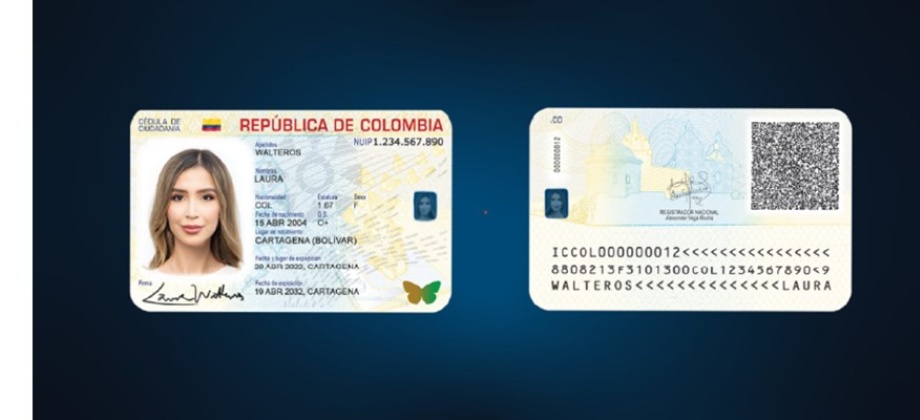 Cédula y Tarjeta de Identidad 