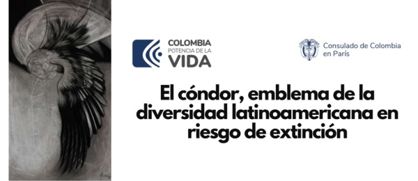 Participa del evento: El cóndor, emblema de la diversidad latinoamericana en riesgo de extinción el jueves 28 de septiembre